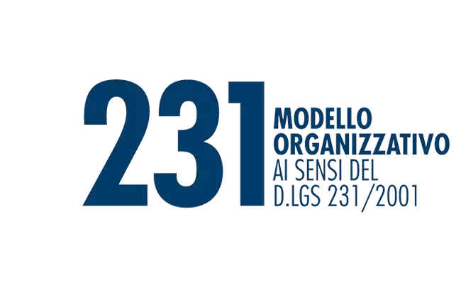 Modello 231